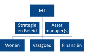 Figuur 2 Asset manager als adviseur
